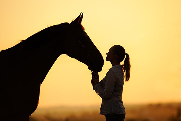 The Value Of Adding Equus Coaching To My Life Coaching Business